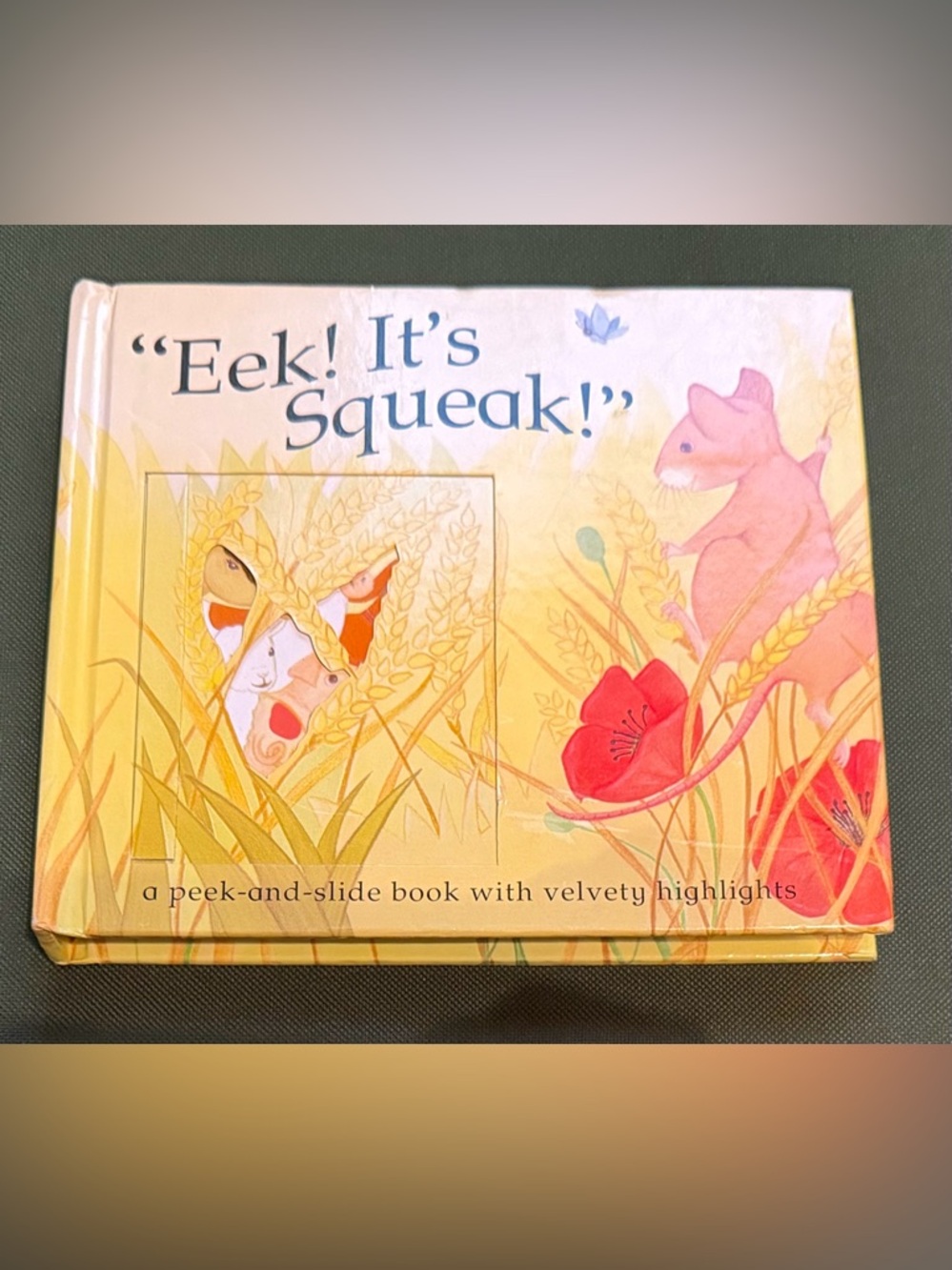 "Eek! It's Squeak!" Children's Peek-and-Slide Book with Velvety Highlights